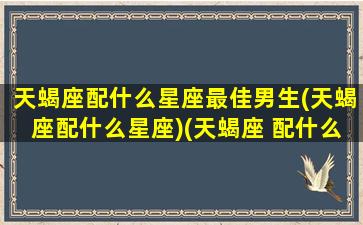 天蝎座配什么星座最佳男生(天蝎座配什么星座)(天蝎座 配什么星座)